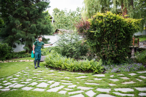Best Wasp Removal Services  in Marion, AL