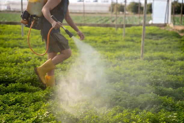 Best Pest Inspection Near Me  in Marion, AL
