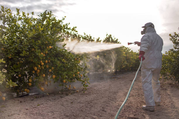 Best Mosquito Control Services  in Marion, AL