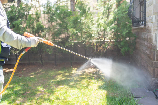 Best Affordable Pest Control Services  in Marion, AL