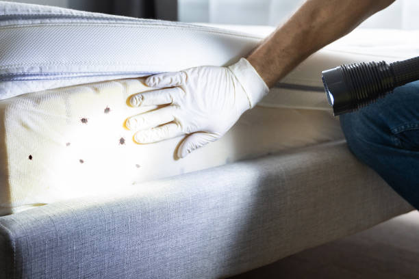 Best Wildlife Control Services  in Marion, AL
