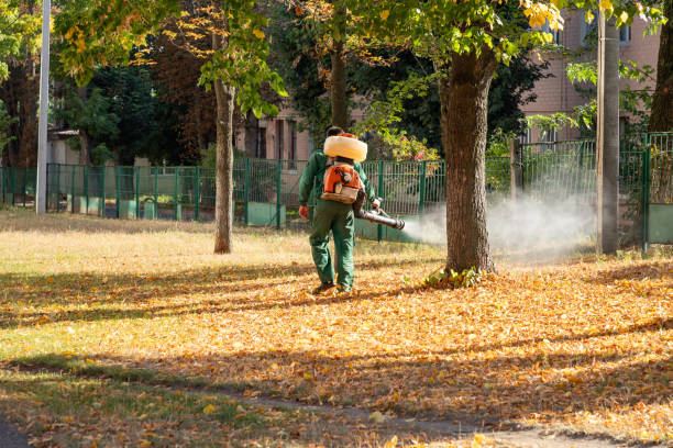 Best Pest Removal Services  in Marion, AL