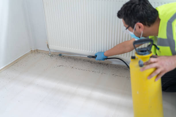 Best Best Pest Control Companies  in Marion, AL