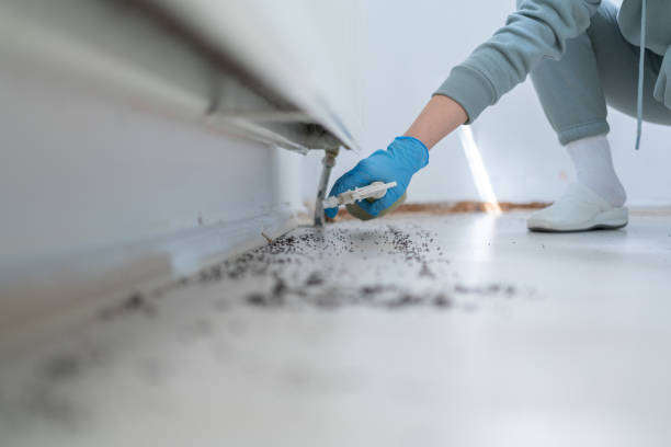 Best Emergency Pest Control  in Marion, AL
