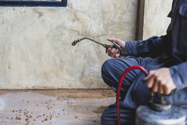 Best Rat Extermination Near Me  in Marion, AL