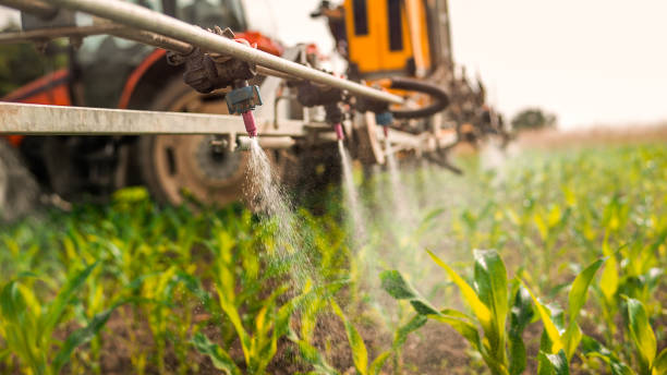 Pest Control Cost in Marion, AL