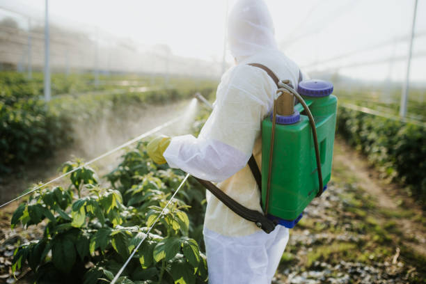 Best Cockroach Control Services  in Marion, AL